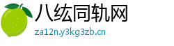 八纮同轨网 八纮同轨网